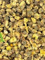 عشبة الأقحوان الطبيعية لتهدئة الجسم وعلاج الالتهابات ودعم صحة العيون | منتجات SFB