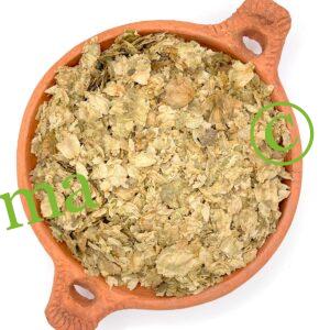 عشبة حشيشة الدينار الطبيعية لدعم الجهاز الهضمي وتعزيز صحة الجسم والطاقة | منتجات SFB