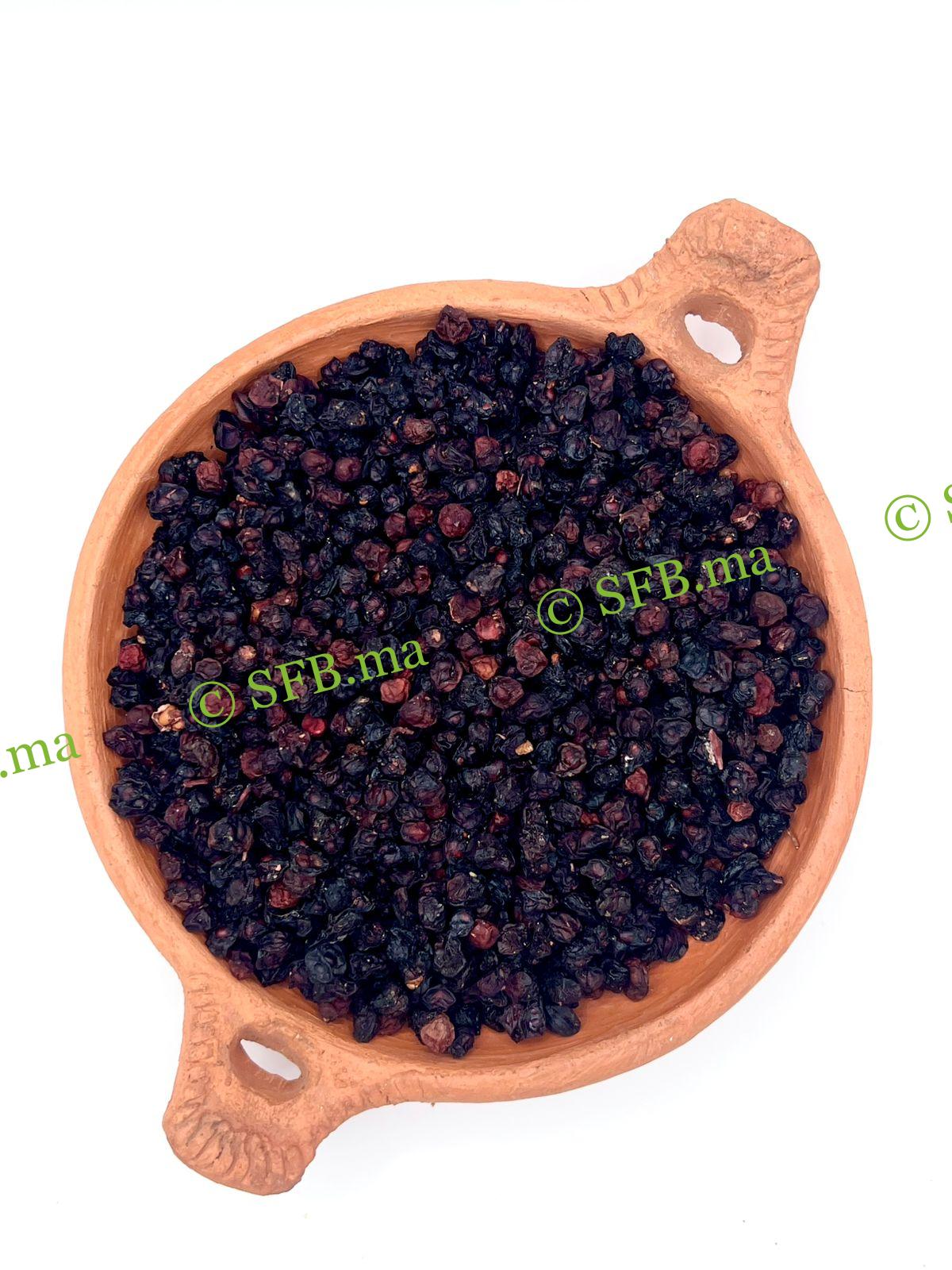 عشبة الشيزندرا – لتعزيز الطاقة والتركيز ودعم الصحة العامة | SFB عشبة الشيزندرا الطبيعية لتعزيز الطاقة وتحسين التركيز ودعم الصحة العامة | منتجات SFB