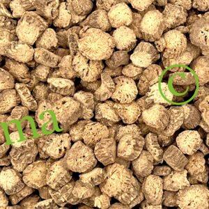 جذور الأرقطيون الطبيعية لدعم صحة البشرة، المفاصل والكبد، وتنقية الدم | منتجات SFB