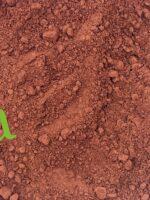 أبواغ فطر الريشي الطبيعية لتعزيز المناعة والطاقة وتنقية الجسم ومقاومة التعب | منتجات SFB