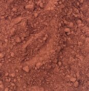 أبواغ فطر الريشي الطبيعية لتعزيز المناعة والطاقة وتنقية الجسم ومقاومة التعب | منتجات SFB