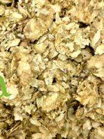 عشبة حشيشة الدينار الطبيعية لدعم الجهاز الهضمي وتعزيز صحة الجسم والطاقة | منتجات SFB