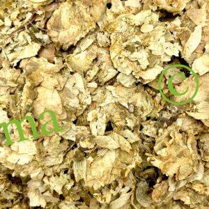 عشبة حشيشة الدينار الطبيعية لدعم الجهاز الهضمي وتعزيز صحة الجسم والطاقة | منتجات SFB