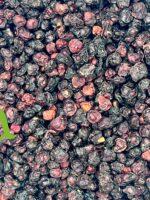 عشبة الشيزندرا الطبيعية لتعزيز الطاقة وتحسين التركيز ودعم الصحة العامة | منتجات SFB