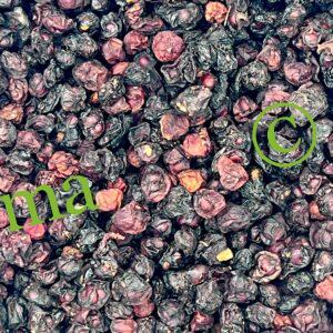 عشبة الشيزندرا الطبيعية لتعزيز الطاقة وتحسين التركيز ودعم الصحة العامة | منتجات SFB