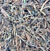 عشبة الاجوگا الطبيعية لدعم نمو الشعر وصحة البشرة وتقوية المناعة | منتجات SFB