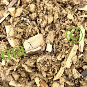 عشبة البوصير الطبيعية لعلاج مشاكل الجهاز التنفسي وتهدئة السعال ودعم المناعة | منتجات SFB