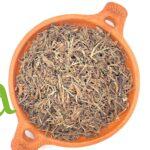 L’herbe naturelle Ajuga pour soutenir la croissance des cheveux, la santé de la peau et l’équilibre immunitaire | Produits SFB