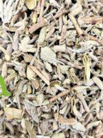 عشبة المرمية الطبيعية من SFB – لتحسين الذاكرة وصحة الجهاز الهضمي وتنظيم الهرمونات