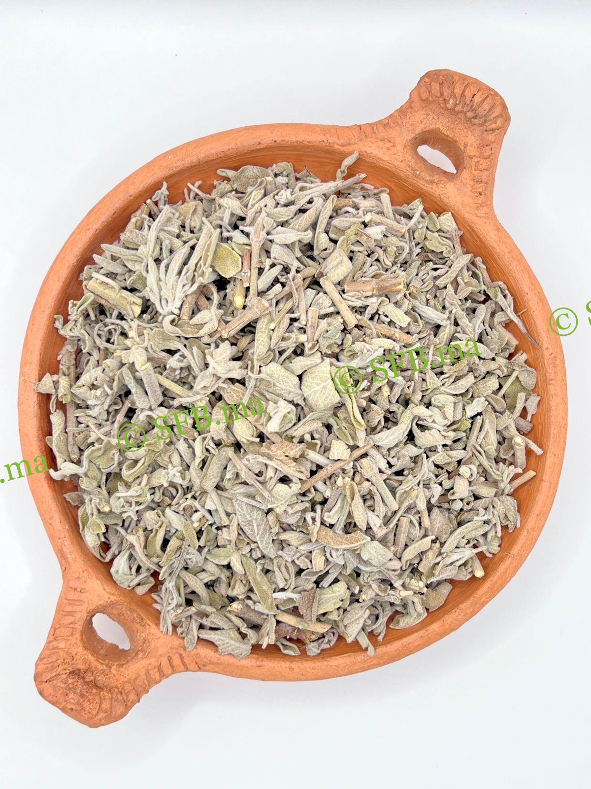 عشبة المرمية | توازن الهرمونات وتحسين الذاكرة وصحة الجهاز الهضمي – SFB عشبة المرمية الطبيعية من SFB – لتحسين الذاكرة وصحة الجهاز الهضمي وتنظيم الهرمونات