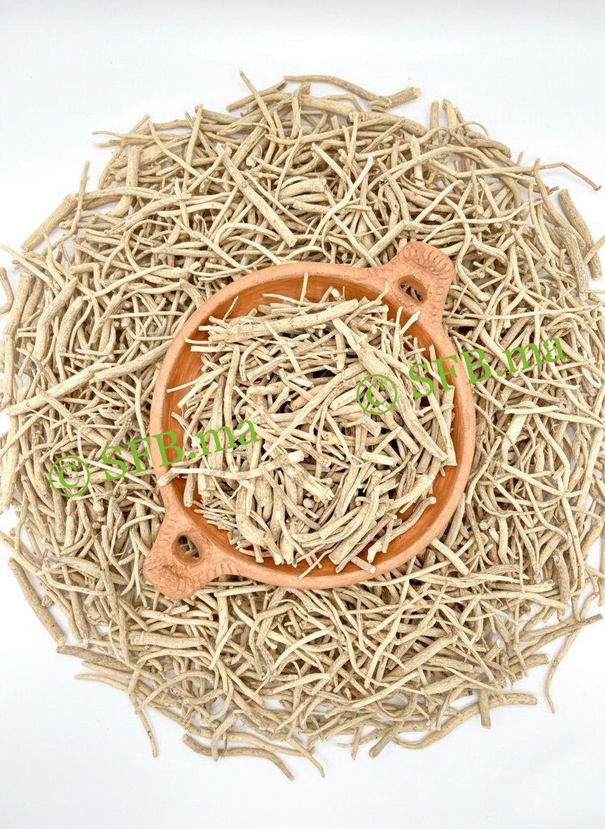 Ashwagandha de SFB – Pour réduire le stress, augmenter l'énergie et améliorer les performances physiques et mentales