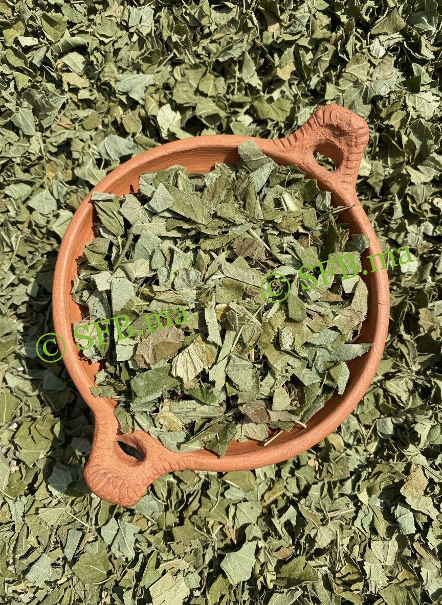 L'Herbe des Chèvres en rût (Épimède) naturelle pour augmenter la vitalité, l'énergie et améliorer les performances physiques et mentales | Produits SFB